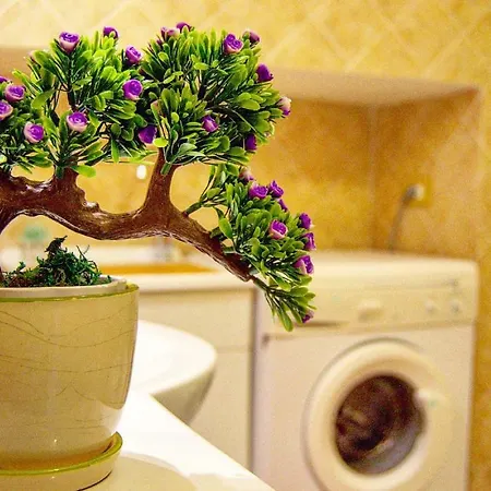 Casa Alessandra - De Vivo Realty 度假居