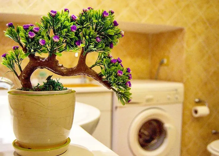 Casa Alessandra - De Vivo Realty Σπίτι διακοπών